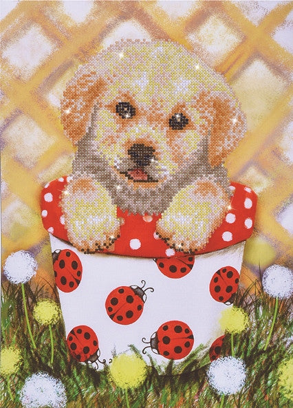 Cachorro Diamond Dotz en maceta